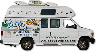 Van Graphics